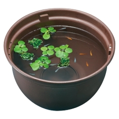 Chậu nhựa tròn 370 nuôi cá Medaka - Gex Killifish Bowl 370 ( 37 x 37 x 20cm )