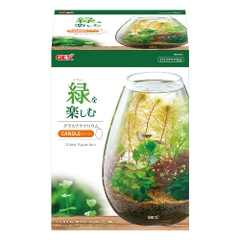 Hồ cá tiểu cảnh thủy tinh - Gex Glass Aquarium Candle