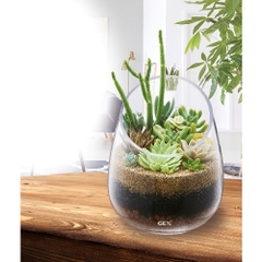 Hồ cá tiểu cảnh thủy tinh - Gex Glass Aquarium Slope