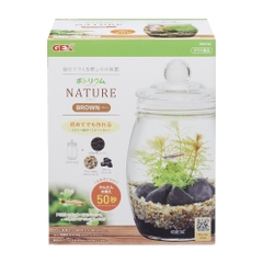Bộ hồ tiểu cảnh thủy tinh - Gex Bottlium Nature Set Brown