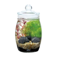 Bộ hồ tiểu cảnh thủy tinh - Gex Bottlium Nature Set Brown