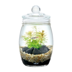 Bộ hồ tiểu cảnh thủy tinh - Gex Bottlium Nature Set Brown