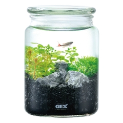Bộ hồ tiểu cảnh thủy tinh - Gex Bottlium Nature Set Black