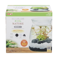 Bộ hồ tiểu cảnh thủy tinh - Gex Bottlium Nature Set White