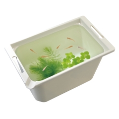 Chậu nhựa vuông 350 nuôi cá Medaka - Gex Killifish Box 350 (35.5 x 21.5 x 20cm)