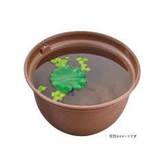 Giá thể cho cá Medaka đẻ trứng - Gex Killifish Spawning Floor Lotus Leaves