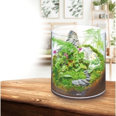 Hồ cá tiểu cảnh thủy tinh - Gex Glass Aquarium Cylinder