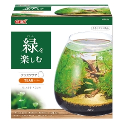 Hồ cá tiểu cảnh thủy tinh - Gex Glass Aqua Tear