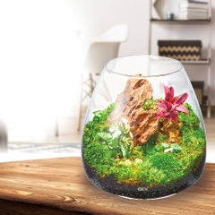 Hồ cá tiểu cảnh thủy tinh - Gex Glass Aqua Tear