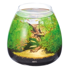 Hồ cá tiểu cảnh thủy tinh - Gex Glass Aqua Tear