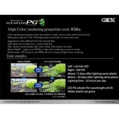 Đèn LED PG 600 siêu sáng 60 cm - Gex LED PG 600
