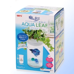 Hồ cá Betta (13 x 13 x 21.5 cm ) - Gex Aqua Leaf