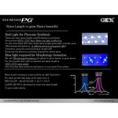 Đèn LED PG 600 siêu sáng 60 cm - Gex LED PG 600