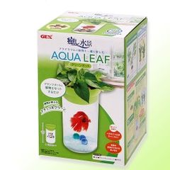 Hồ cá Betta (13 x 13 x 21.5 cm ) - Gex Aqua Leaf