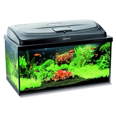 Bộ hồ cá cảnh - Aquael Aquarium Aqua4 Start Rect LT 60 (60x30x30cm)