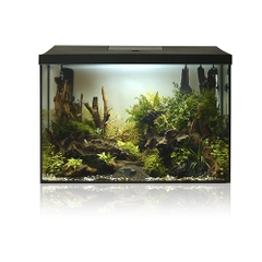 Bộ hồ cá cảnh - Aquael LEDDY Set Plus D&N 60 XL ( 60 x 30 x 40cm )