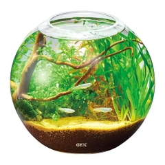 Hồ cá tiểu cảnh thủy tinh - Gex Glass Aquarium Sphere
