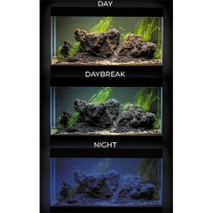 Bộ hồ cá cảnh cao cấp - Aquarium OPTI Set 125 Black 2.0 ( 81 x 36 x 51cm )