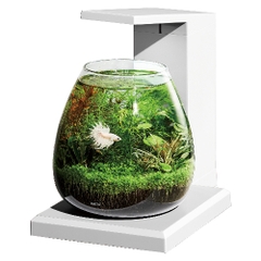 Bộ Hồ Aqua Perco ( Trắng ) - Glass Aqua PERCO T-WH
