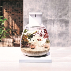 Bộ Hồ Aqua Perco ( Trắng ) - Glass Aqua PERCO T-WH