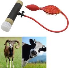 ÂM ĐẠO GIẢ CHO LỢN