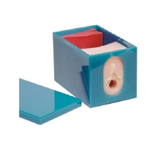 MÔ HÌNH CÁC GIAI ĐOẠN CHUYỂN DẠ KHI SINH – 1005579 – 3B SCIENTIFIC