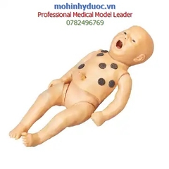 HỆ THỐNG MÔ PHỎNG ĐÀO TẠO KỸ NĂNG THỰC HÀNH SẢN KHOA GD/F56