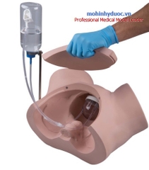 MÔ HÌNH  THỰC HÀNH ĐẶT ỐNG THÔNG NIỆU ĐẠO - THÔNG TIỂU NỮ 1020229