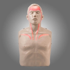 Mô hình CPR tích hợp đèn LED đỏ mô phỏng tuần hoàn máu Brayden IM13-R