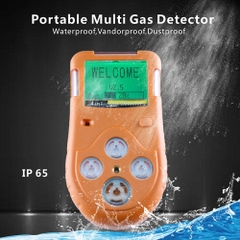 MÁY DÒ KHÍ CẦM TAY ĐA NĂNG ĐO CO, H2S, O2, CH4