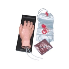 MÔ HÌNH BÀN TAY ĐÀO TẠO LẤY MÁU VÀ TIÊM TRUYỀN TĨNH MẠCH - 1005754- 3B SCIENTIFIC