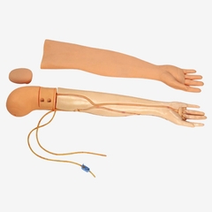 MÔ HÌNH CÁNH TAY ĐẦY ĐỦ CHỨC NĂNG GD/HS3