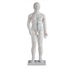 Mô hình châm cứu huyệt đạo toàn thân 70cm