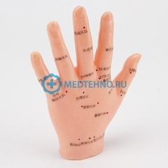 MÔ HÌNH CHÂM CỨU TAY 13CM