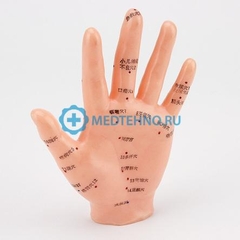 MÔ HÌNH CHÂM CỨU TAY 13CM