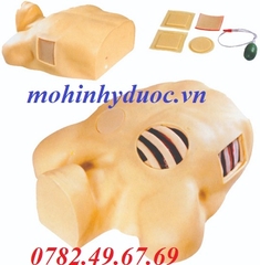 MÔ HÌNH THỰC HÀNH CHỌC DỊCH MÀNG PHỔI