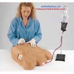 MÔ HÌNH THỰC HÀNH CHỌC HÚT DỊCH MÀNG PHỔI/ MÀNG TIM - LF03769