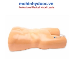 Mô hình đào tạo chọc hút màng bụng, ổ bụng có hướng dẫn bằng siêu âm