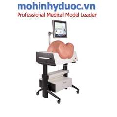Mô hình đào tạo đỡ đẻ