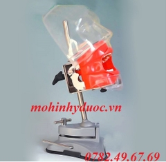 MÔ HÌNH THỰC HÀNH KHÁM RĂNG NHA KHOA