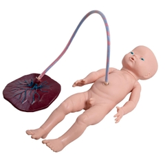 MÔ HÌNH ĐÀO TẠO SINH NỞ/ĐỠ ĐẺ NÂNG CAO GD/F53