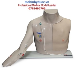 MÔ HÌNH ĐẶT CATHETER TĨNH MẠCH TRUNG TÂM SB52875U