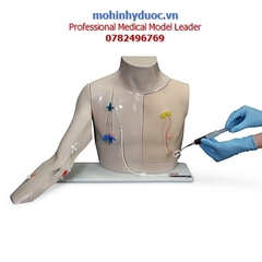 MÔ HÌNH ĐẶT CATHETER TĨNH MẠCH TRUNG TÂM SB52875U