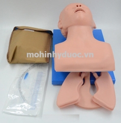 MÔ HÌNH THỰC HÀNH ĐẶT NỘI KHÍ QUẢN