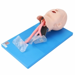 MÔ HÌNH THỰC HÀNH ĐẶT NỘI KHÍ QUẢN TRẺ EM