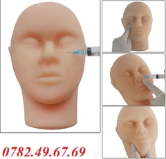 MÔ HÌNH THỰC HÀNH ĐẦU MẶT CỔ SILICON