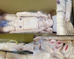 MÔ HÌNH ĐIỀU DƯỠNG ĐA CHỨC NĂNG KÈM ĐO HUYẾT ÁP NGƯỜI LỚN HH-LP/2300