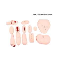 MÔ HÌNH ĐÀO TẠO ĐIỀU DƯỠNG CHĂM SÓC BỆNH NHÂN ĐẦY ĐỦ CHỨC NĂNG NAM NỮ TRƯỞNG THÀNH SL-HH-NM03