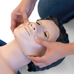 MÔ HÌNH/HÌNH NỘM THỰC HÀNH HUẤN LUYỆN AN TOÀN LAO ĐỘNG (HUẤN LUYỆN CPR) A-111730