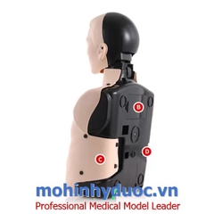 MÔ HÌNH ĐÀO TẠO HỒI SINH TIM PHỔI CPR NURUGO HÀN QUỐC